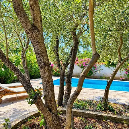 Apartmán With Pool In Krk-insel Krk 53247